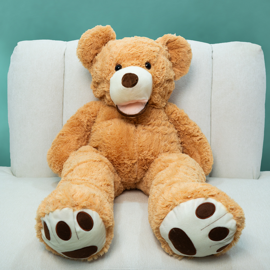 Teddy Bear Dubai