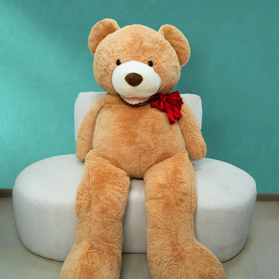 Teddy Bear Dubai