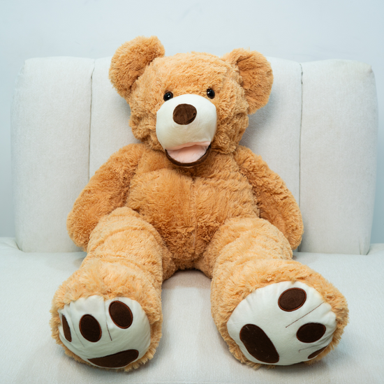 Teddy Bear Dubai