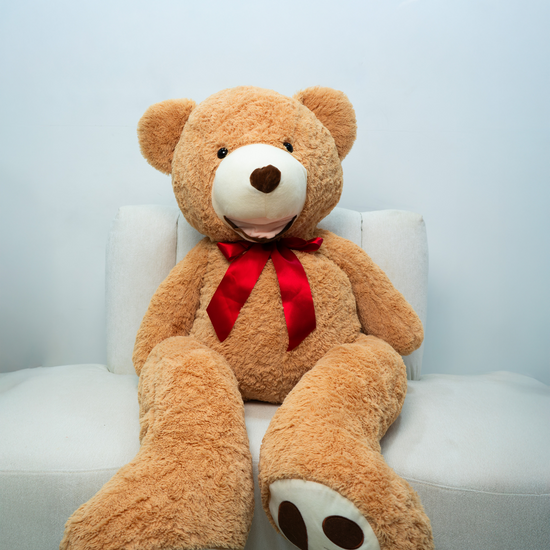 Teddy Bear Dubai