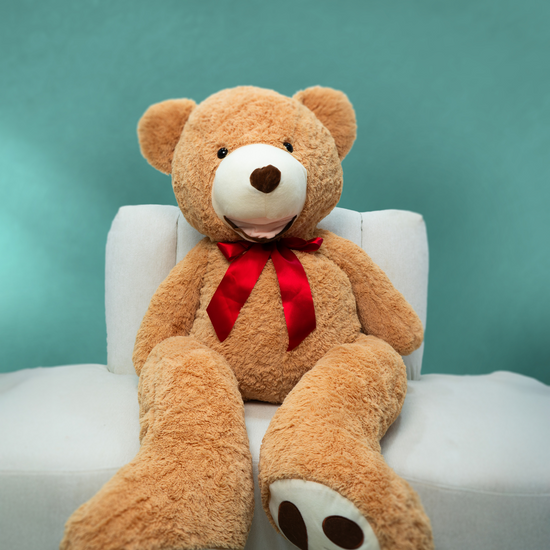 Teddy Bear Dubai
