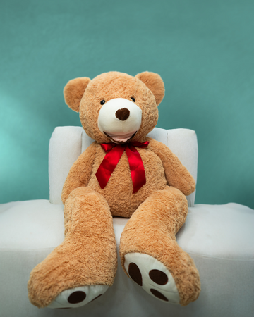 Teddy Bear Dubai